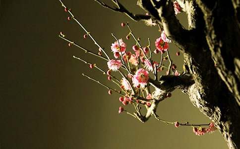 ÷���������ľ��䣨5ƪ��