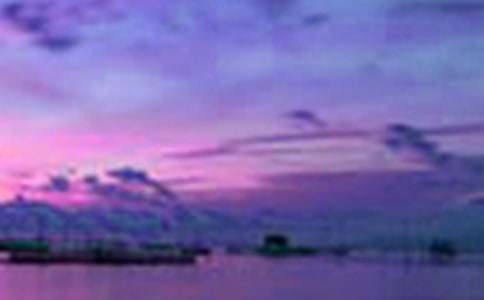 ��԰��������