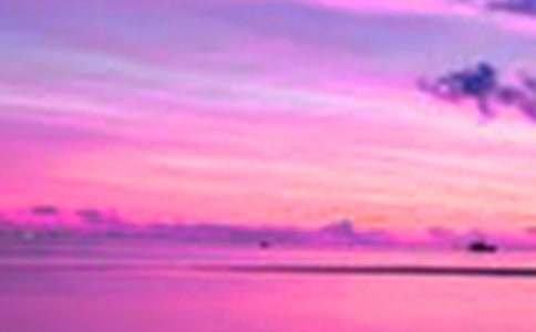 ����������600��4ƪ���ϼ���