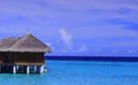 �ҵ���������600����ƪ