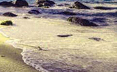 �ҵ���������600��[��]