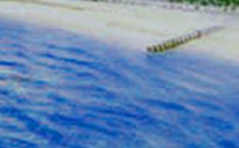 ��԰����������