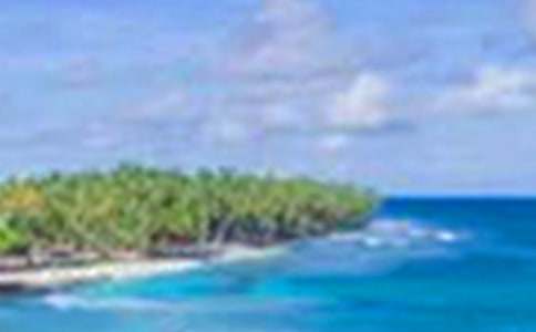 �й�����������600����ƪ