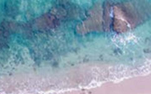 公园美景作文实用