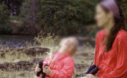 赞美母亲的作文(15篇)