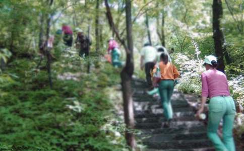 ��ɽ��Ĳ߻���