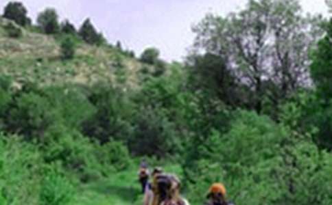 ��ɽ��Ĳ߻���15ƪ