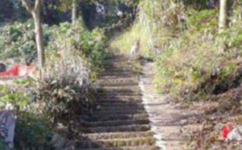 ��д��ɽ��������