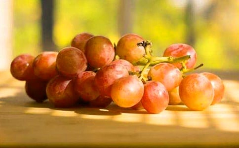 ��д���ѵ�����600��