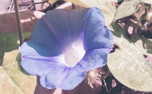 ��������ǣţ�����꼶����8ƪ