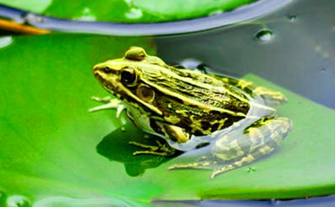 �������Ӷ����15ƪ