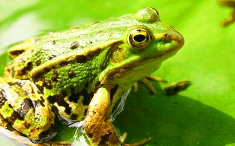 ��д���ܵľ���300��