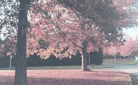 ���༶�＾�����ƻ�