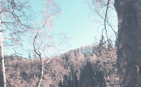 秋季师德师风心得体会