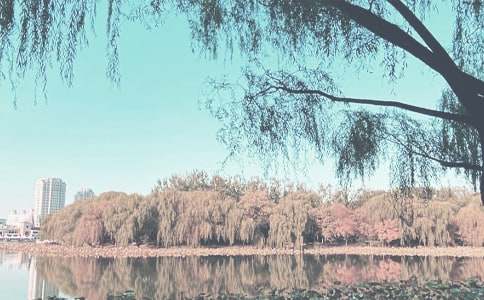 �Ұ��＾���ģ���ѡ51ƪ��