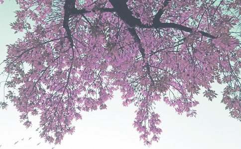 �Ұ��＾����(�ϼ�15ƪ)