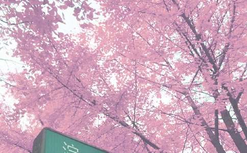 ѧǰ���＾��ѧ�����ܽ�