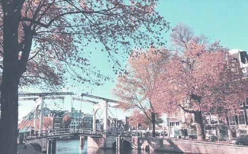 秋季中班班级工作计划