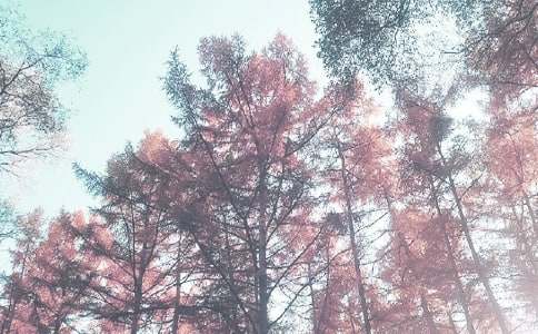 �＾�а�༶�����ƻ�(6ƪ)