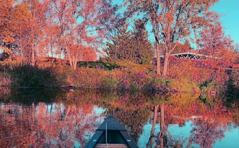 秋日早上问候语