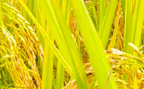 �������յ�����10ƪ(�Ƽ�)