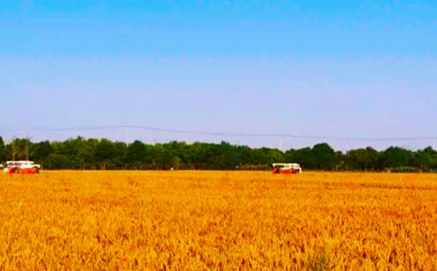 �������յ�����