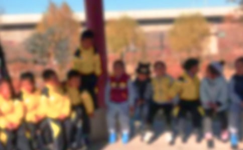 ��ʵ�á����꼶��������10ƪ