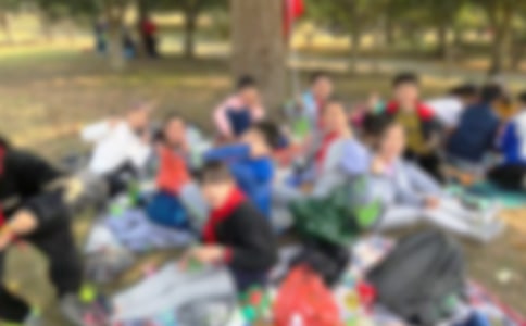 (ʵ��)����Ӧ��Ԥ��15ƪ