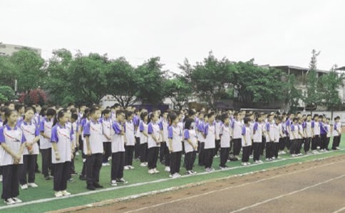 ���ɢѧ����У�������壨ͨ��20ƪ��