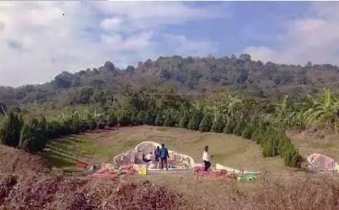 ��дɨĹ������600�֣���ѡ4ƪ��