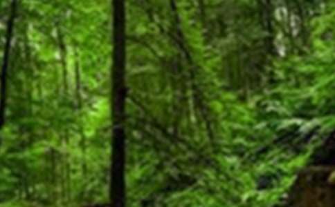 ��ɭ��սʿ���ۺ�У�ͨ��17ƪ��