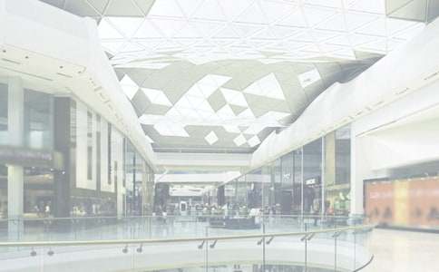 �̳����չ����ܽ�