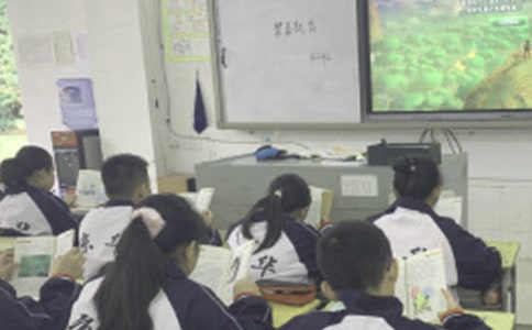 �������Ͽ�˯��������(����15ƪ)