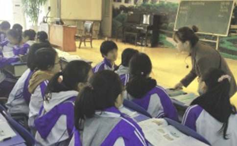 �Ͽγٵ������鼯��[15ƪ]