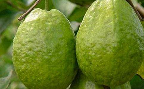 ����ѡ��ʯ��������3ƪ