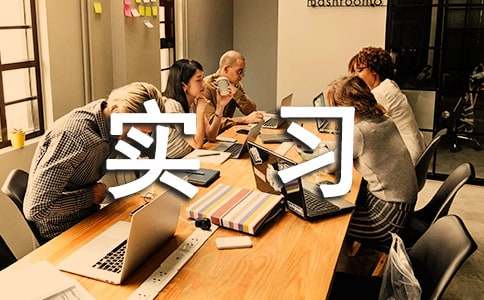 ��ѡ��ʶʵϰ���漯��ʮƪ