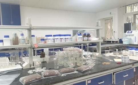 ʵ����Ӧ��Ԥ��(����15ƪ)