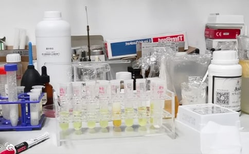 ѧУʵ���ҹ����ܽ�(ͨ��13ƪ)