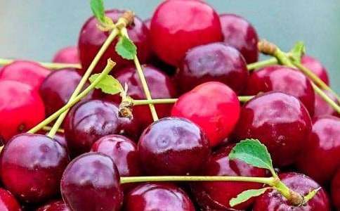 ˮ��������