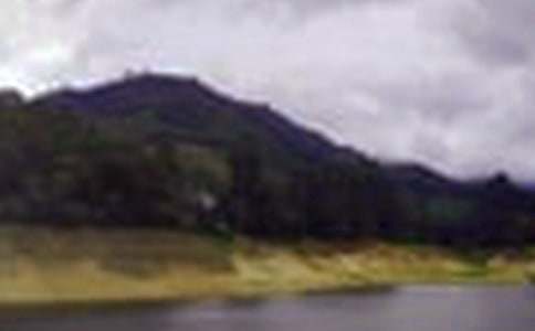 ˮ���Ѵ����Ӧ��Ԥ�����(15ƪ)