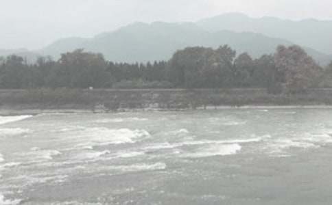 ˮ�����̵�ʵϰ�������10ƪ