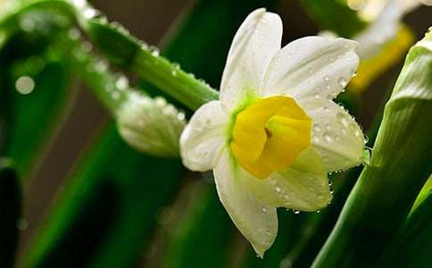 �Ǽ���ˮ���ӡ�Ѱ÷���Ķ��𰸸�����