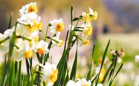 ��дˮ�ɻ�������