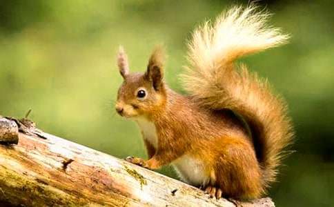 С���������