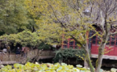 苏州园林导游词合集15篇