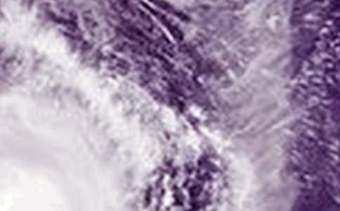 【必备】防台风通知三篇