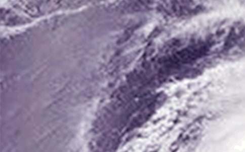 ̨��ķ���֪ͨ������ƪ