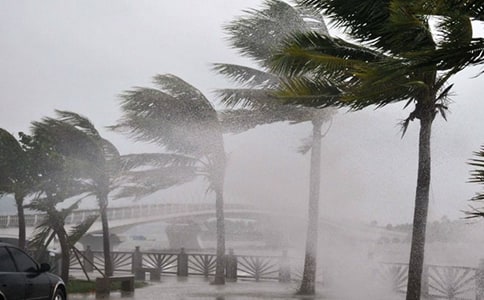 ��д̨�������600�֣���ѡ39ƪ��