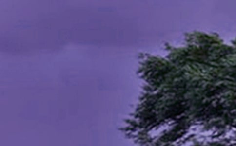 台风防汛应急预案