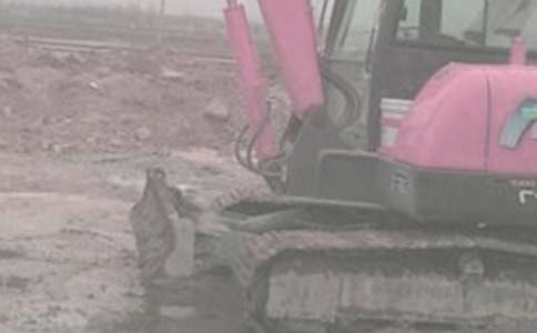 �ھ�����޺�ͬ����ѡ15ƪ��